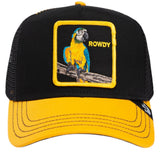 Goorin Bros. THE ROWDY BIRD Hat