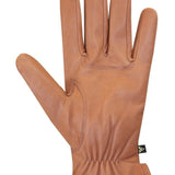 AuClair Winter Glove Tan.