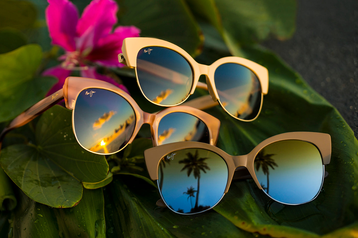 Women's Sunglasses