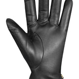 Black leather glove with 'Auclair' branding on a white background