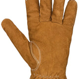 Auclair HUNTER Leather Glove