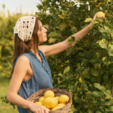 Woman picking lemons from a tree and holding a basket of lemons in an orchard.