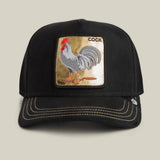 Goorin Bros. GOLDEN COCK Hat