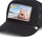 Goorin Bros. MORNING WOOD Hat