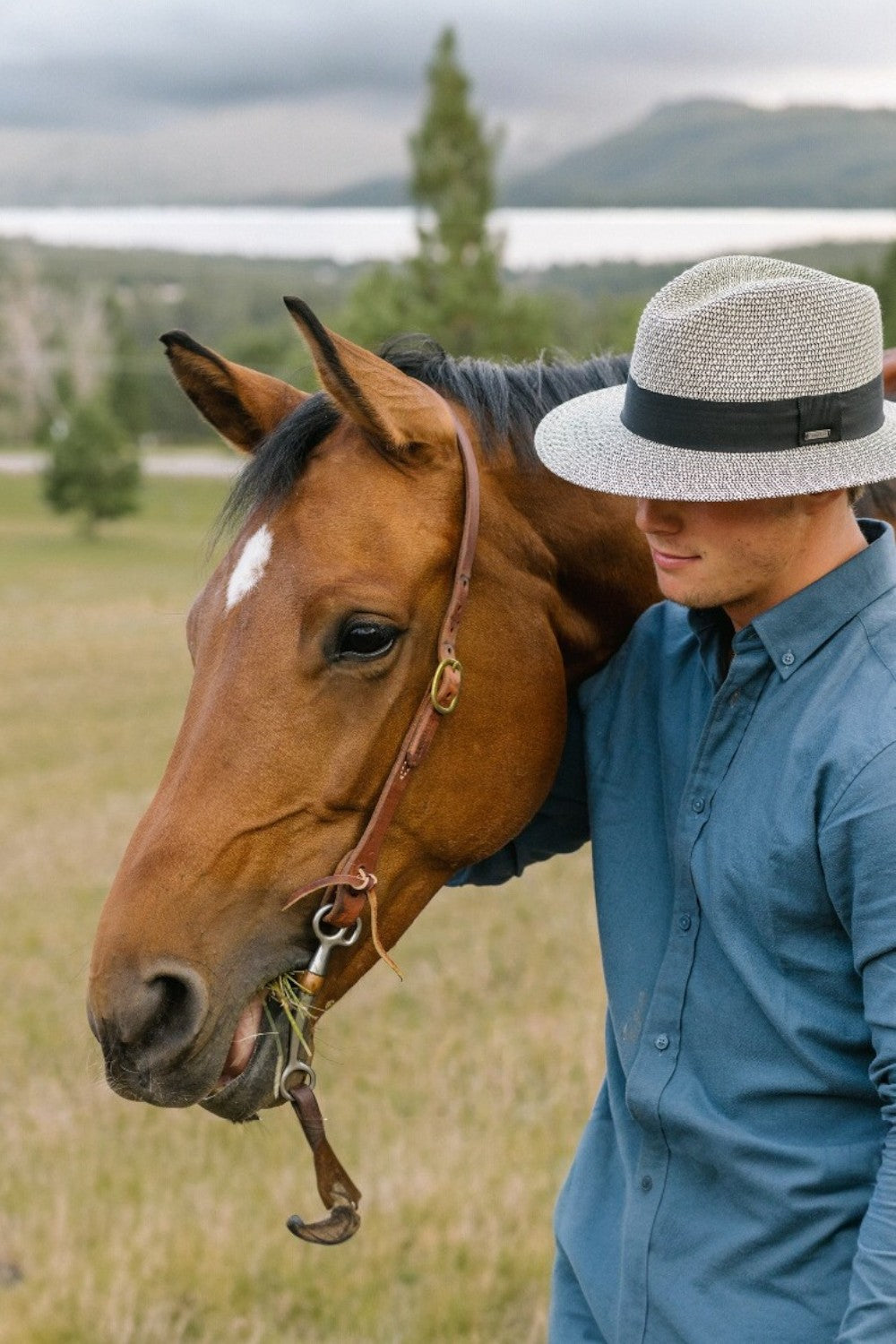 Person in a blue shirt and hat standing next to a brown horse in a grassy field with mountains in the background.