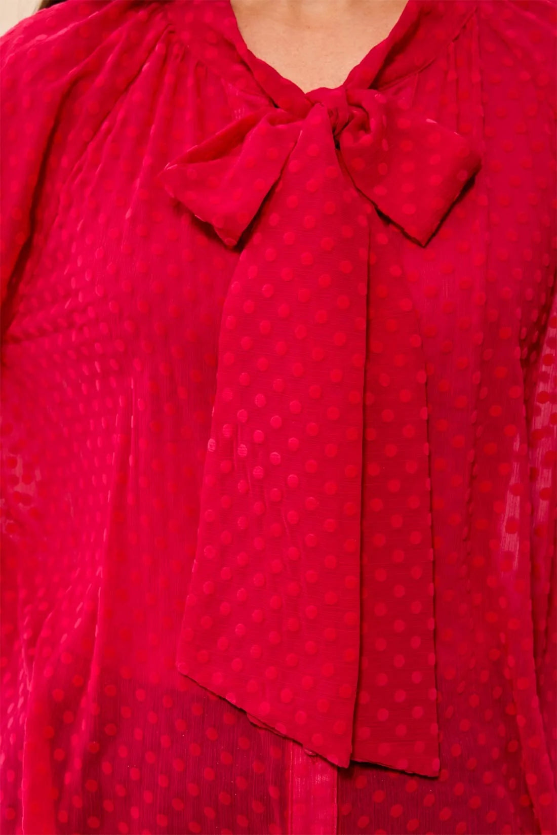 Broderick's Clothing Co. red sheer crinkle chiffon blouse with polka dot texture and a feminine bow-tie neck detail.