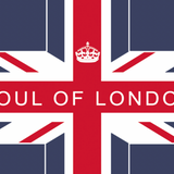 Soul of London Suit- Turquoise